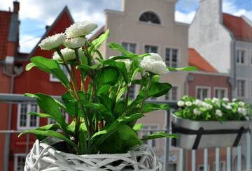 Фото номера Апартаменты с балконом Апартаменты Gdansk Old Town River View г. Гданьск 41