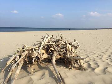 Фото номера Апартаменты Делюкс Апартаменты Bajkowa Plaża - Muszelka г. Гданьск 76