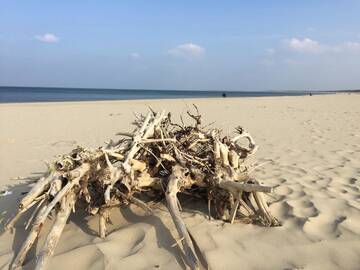 Фото номера Апартаменты Делюкс Апартаменты Bajkowa Plaża - Muszelka г. Гданьск 41