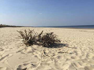 Фото номера Апартаменты Делюкс Апартаменты Bajkowa Plaża - Muszelka г. Гданьск 42
