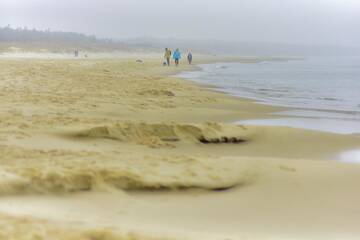 Фото номера Апартаменты Делюкс Апартаменты Bajkowa Plaża - Amber г. Гданьск 43