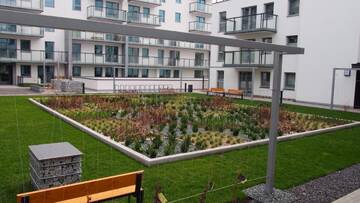 Фото номера Апартаменты-студио Апартаменты Svoboda Apartament г. Гданьск 13