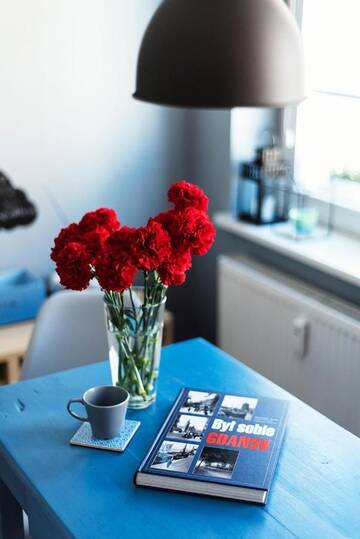 Фото номера Апартаменты-студио Апартаменты Apartament Bosko г. Гданьск 17