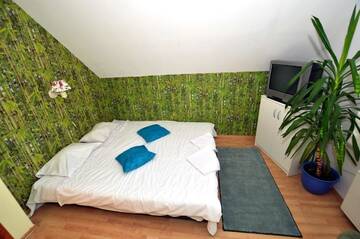 Фото номера Бюджетный двухместный номер с 1 кроватью Хостелы Hostel Madeira г. Гданьск 4