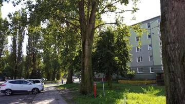 Фото номера Апартаменты с душем Апартаменты Gdansk - nad morzem г. Гданьск 13
