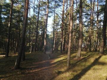 Фото номера Семейный люкс Проживание в семье ISLAND4U г. Гданьск 5